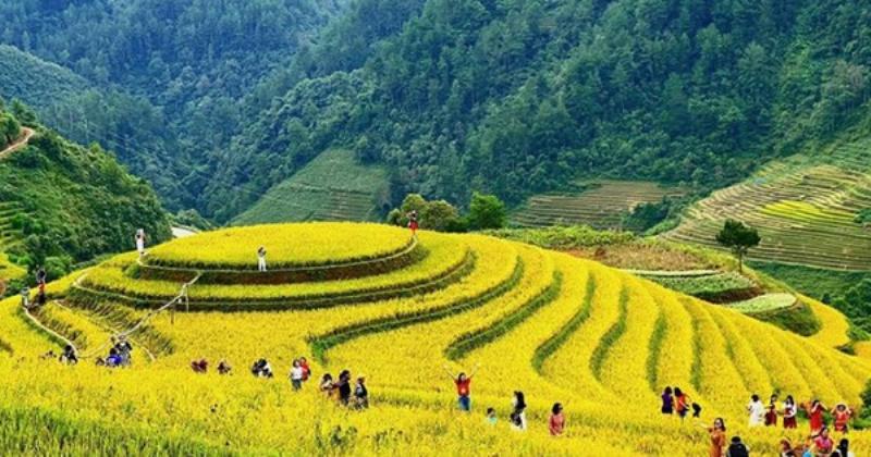 Hình ảnh minh họa một dự án đổi mới hoặc bền vững được triển khai trên địa hình dốc tại Việt Nam, ví dụ: ruộng bậc thang hiện đại, hệ thống năng lượng mặt trời trên mái nhà dốc, hoặc một cây cầu vững chắc vượt qua thung lũng